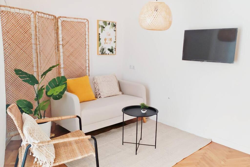 Sunny Two-Bedroom Apartment Next To Panathenaic Stadium Εξωτερικό φωτογραφία